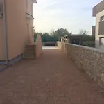 Tiana * Peroj